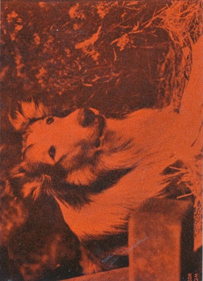 26a75