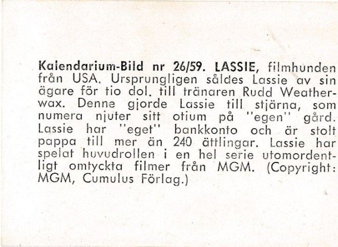 26b66