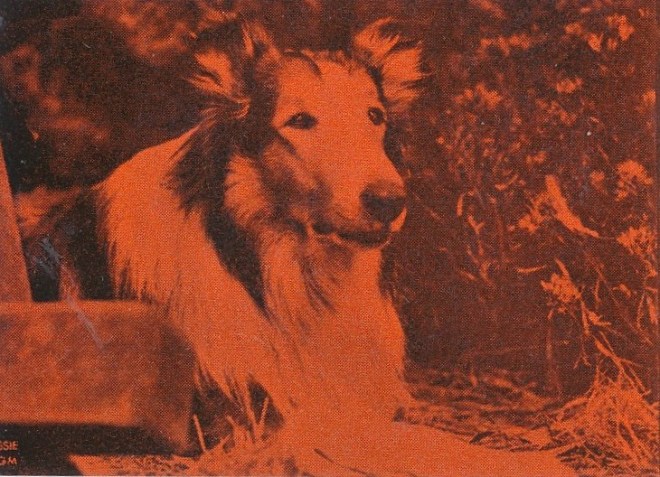 26c8