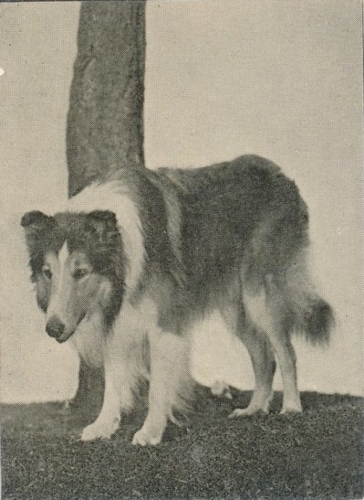 96a52