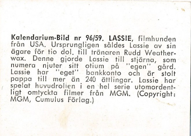 96b81