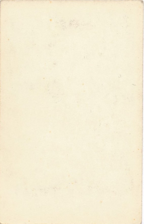 c113b